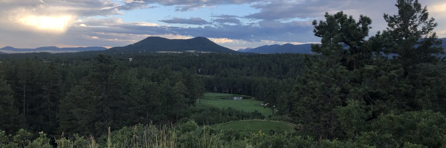 Curtis Ward® banner