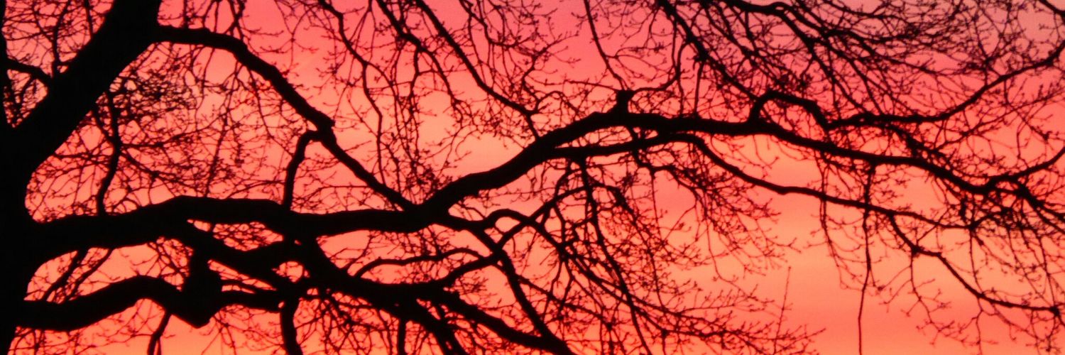 KaraMcLean's profile banner image