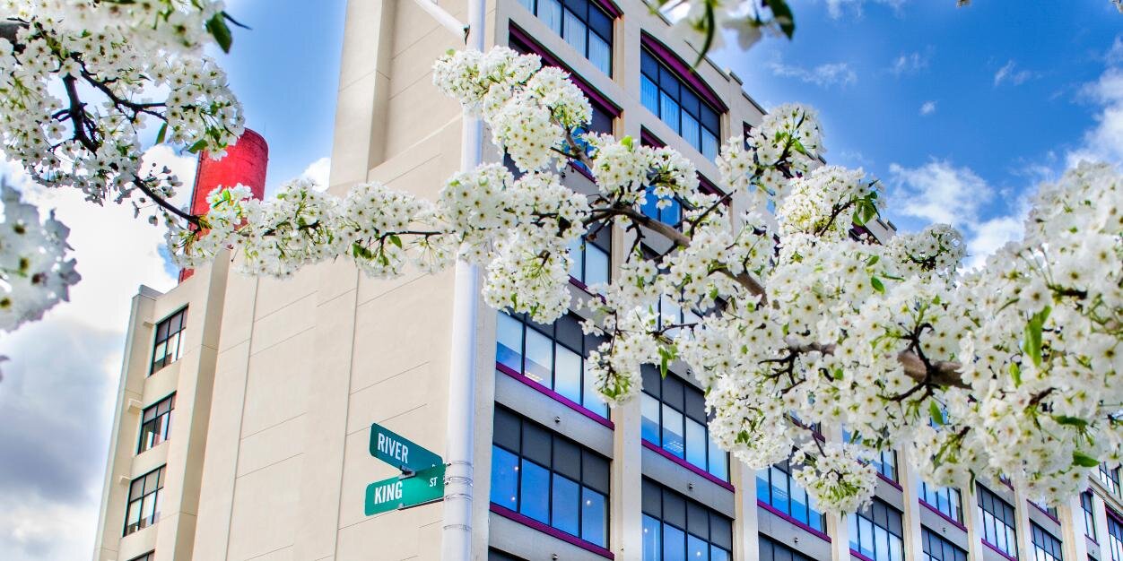 LinguaLinx, Inc. banner