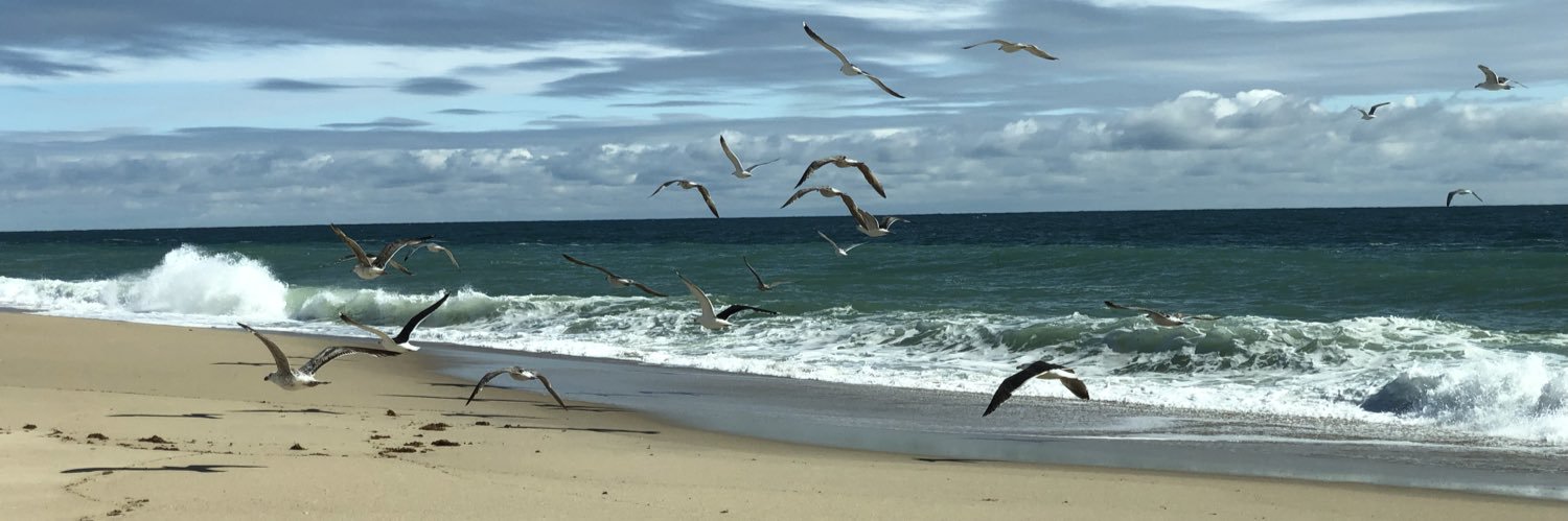 JennAndrick's profile banner image