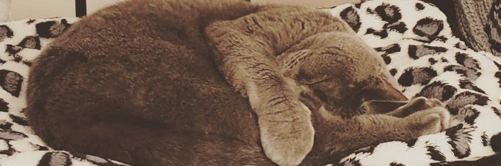 pinky26's profile banner image