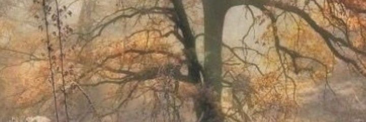 MarkGoodlu's profile banner image