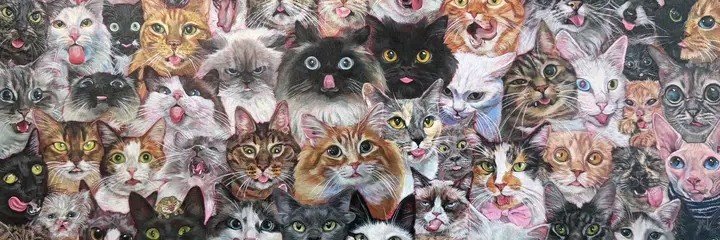 mtthwwwx's profile banner image