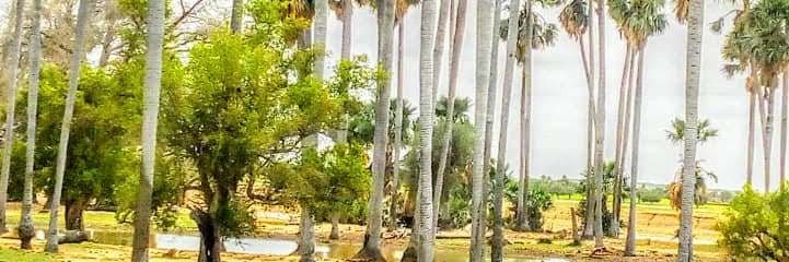 Hammmkxfz's profile banner image