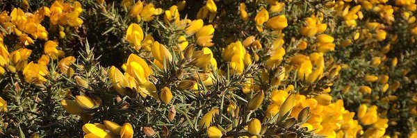 mcjude Profile Banner