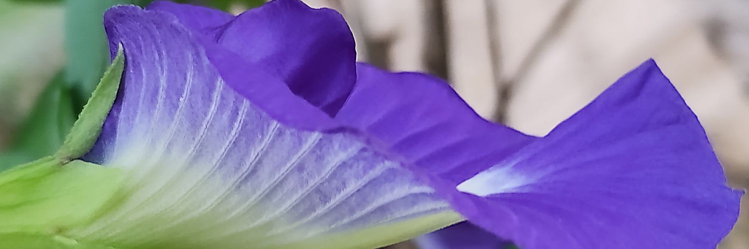 DUTT9999's profile banner image