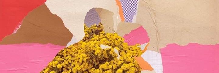 Olikeane's profile banner image