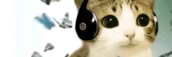 NezDespenser's profile banner image
