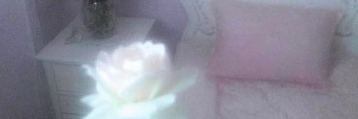 cremebwrulee's profile banner image