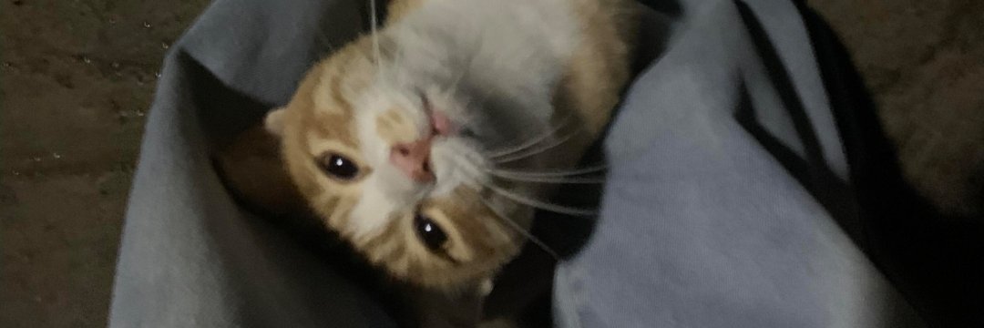 gitovuvu33's profile banner image