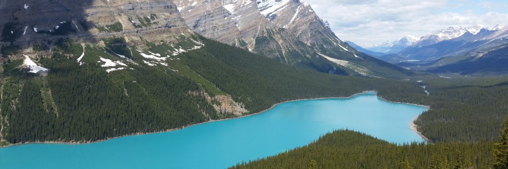 bmeis's profile banner image