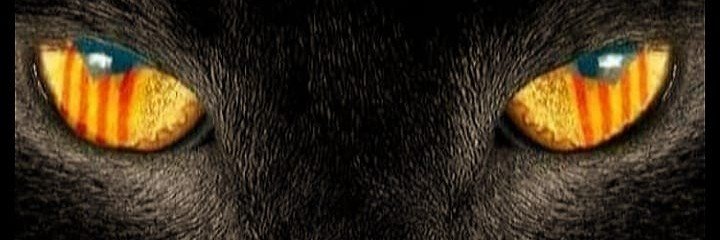 Arrencaqueixals's profile banner image