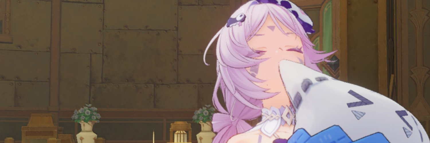 NaNoKa2893's profile banner image
