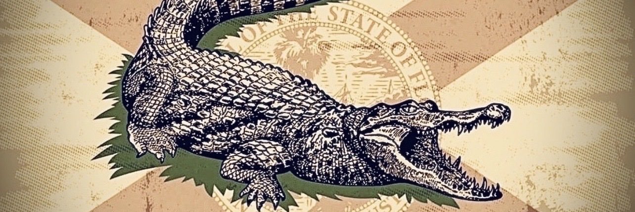 _fla_cracker's profile banner image