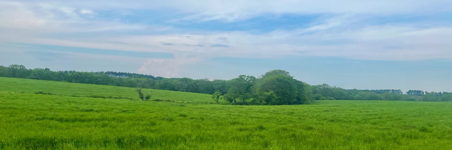venifoo2026's profile banner image
