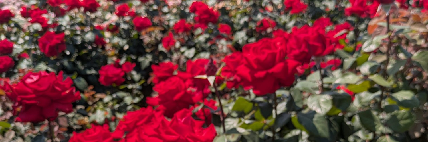 snmsr_tag's profile banner image