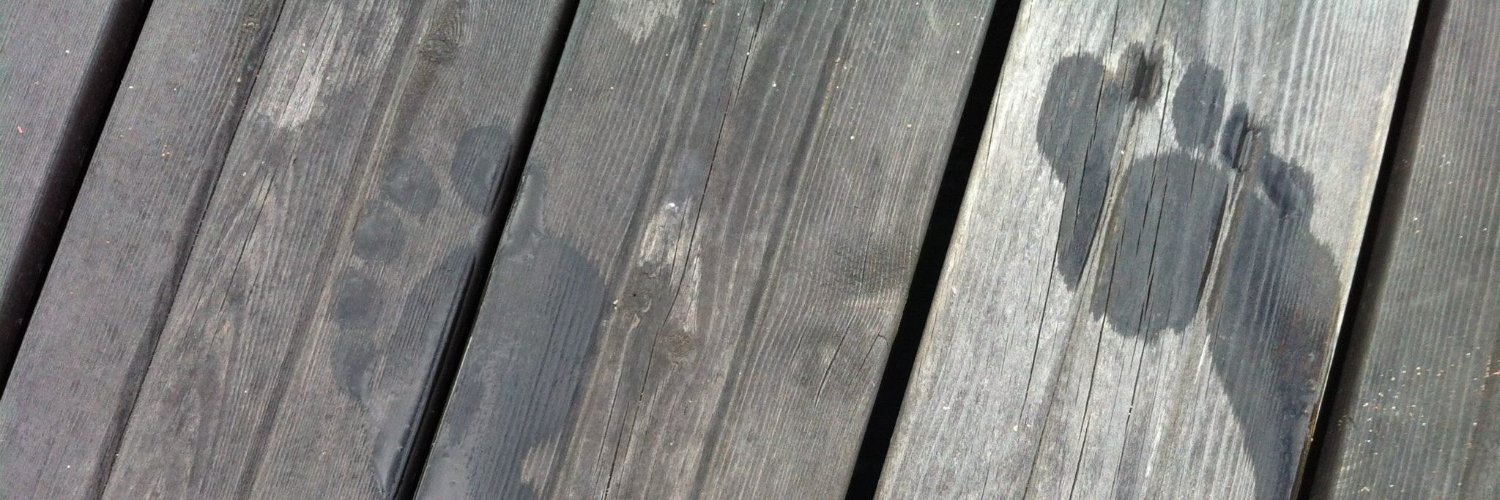 davidmcgoran's profile banner image
