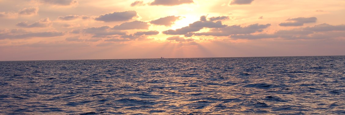 dpaluy's profile banner image