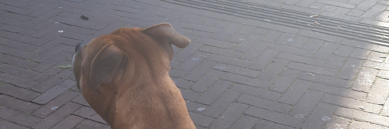 jose_putte's profile banner image
