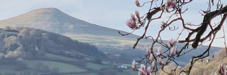 jayneaber's profile banner image