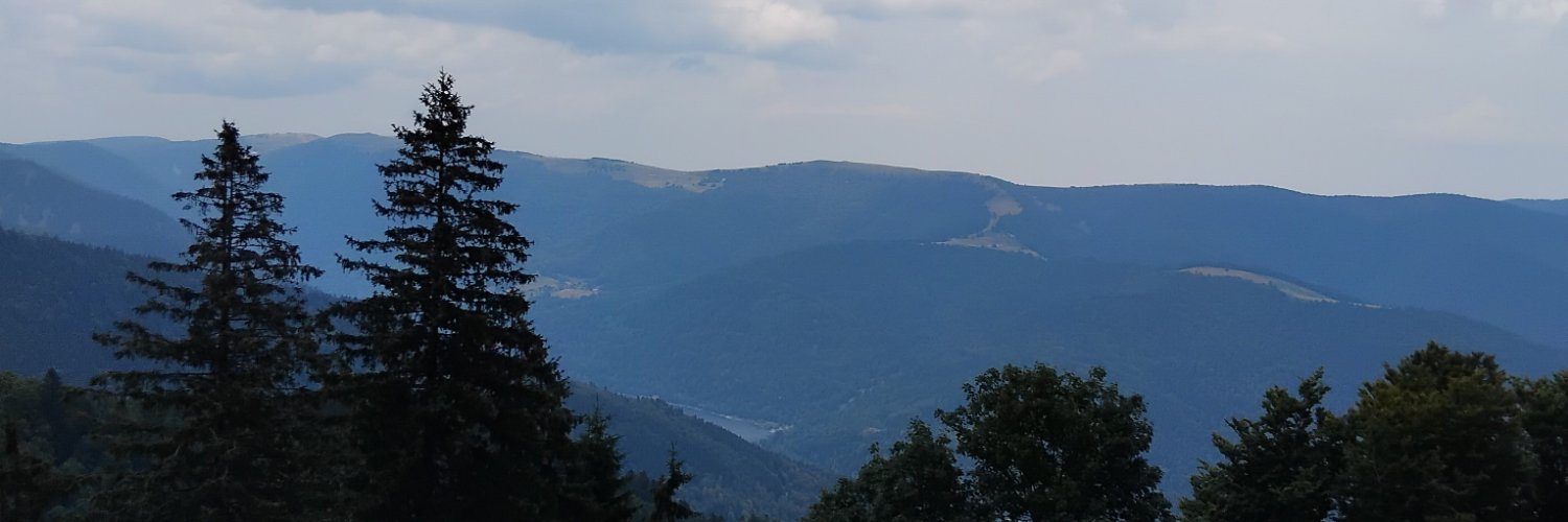 MichelSTBG67's profile banner image