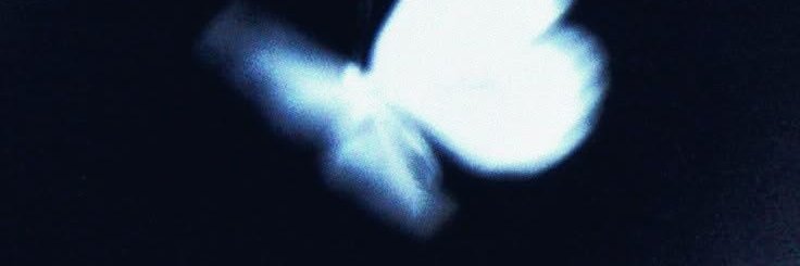 everdecayed's profile banner image