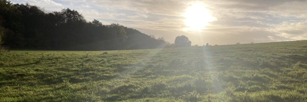 MatthewN81 Profile Banner