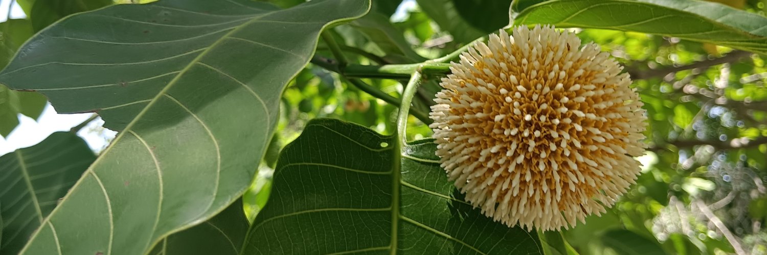 DeepThink_Write's profile banner image