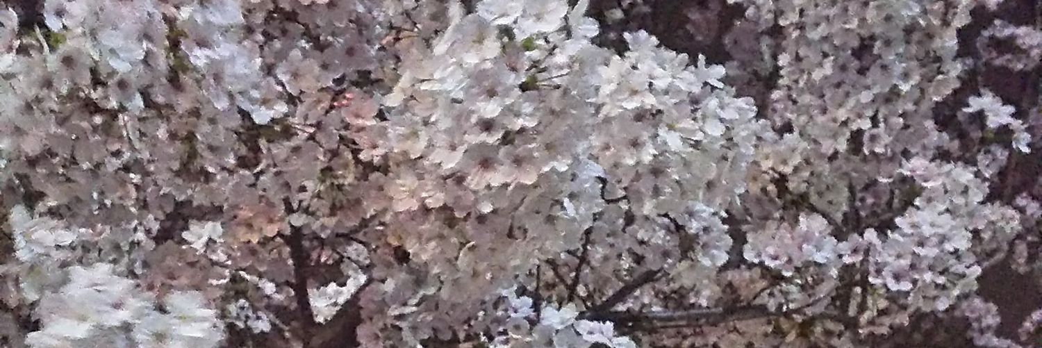 上月ひろえ banner