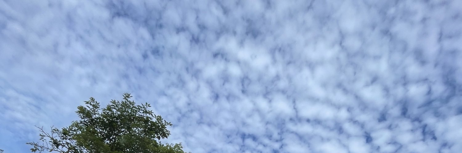 haslinaz_'s profile banner image