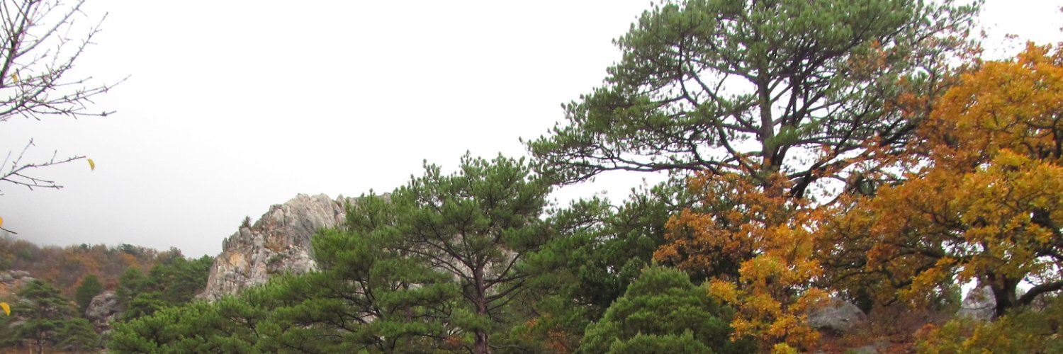 srorly's profile banner image