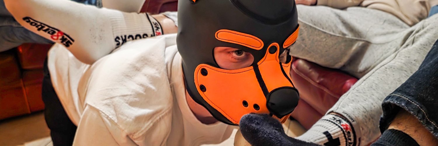 foxlow_pup's profile banner image