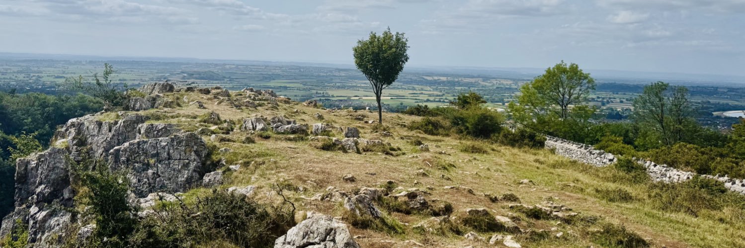 Adam 🦊 🐯 📸 banner