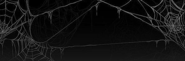 TheBestSpooder's profile banner image