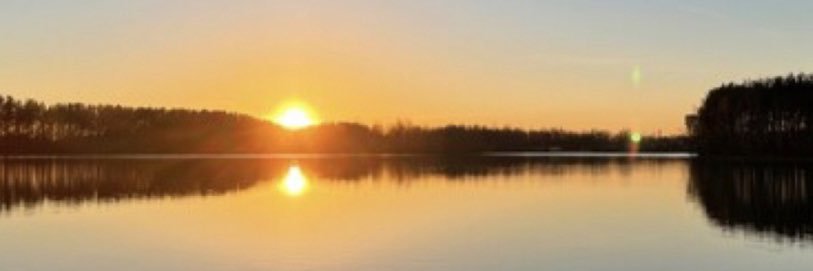 Mindy banner