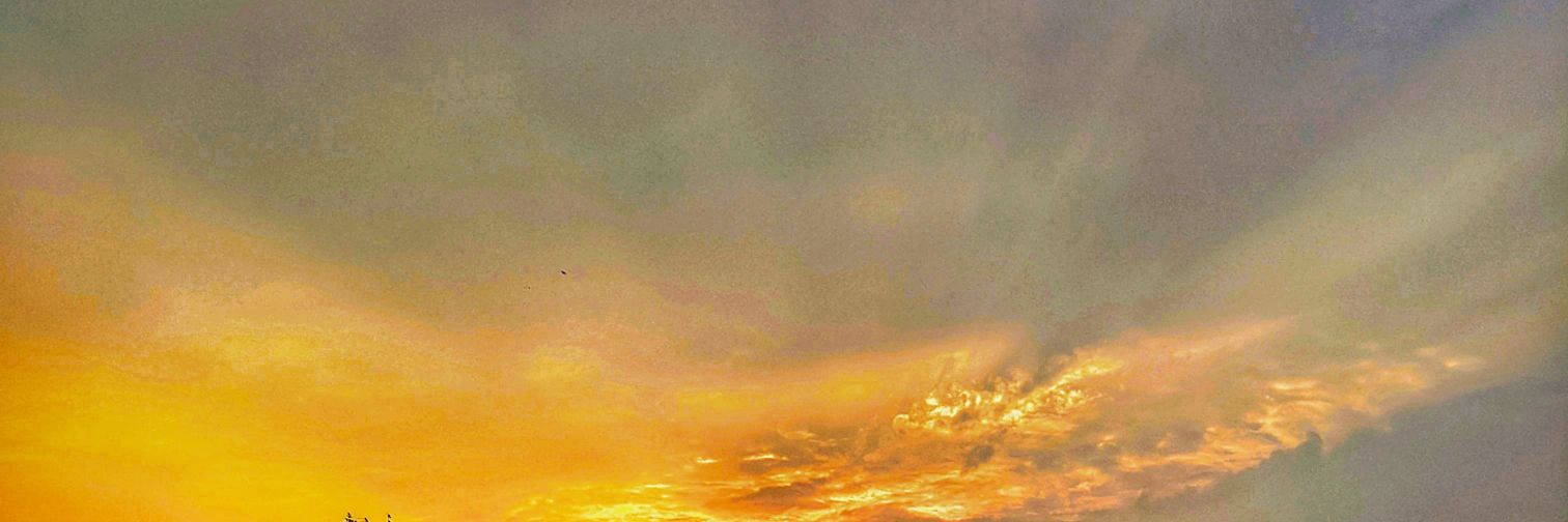 aand3's profile banner image
