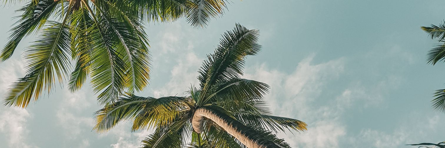 dnmm001's profile banner image