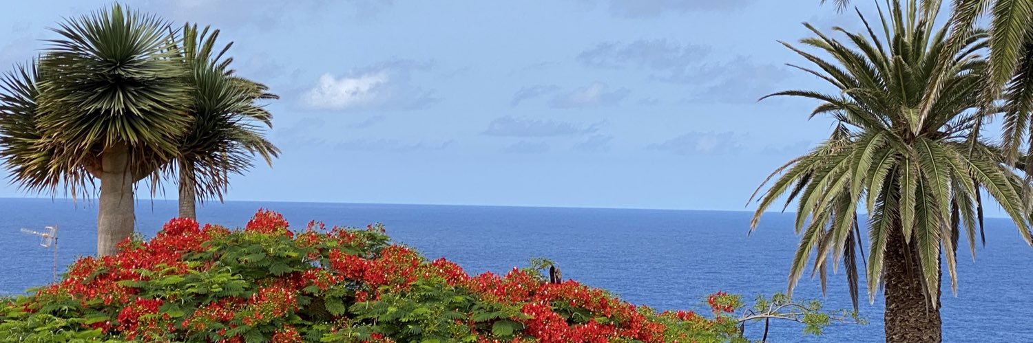 UncleLu's profile banner image