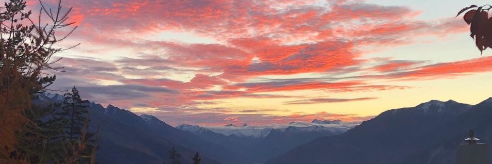 ppiac's profile banner image