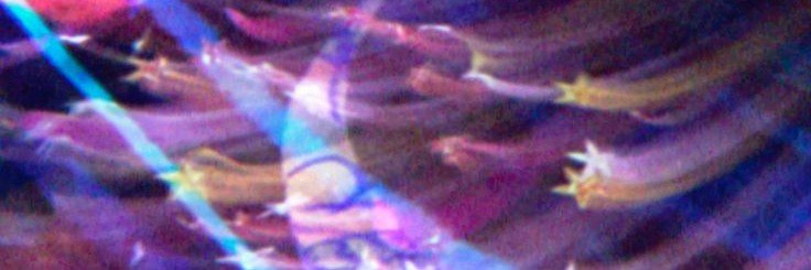 zyentlag's profile banner image