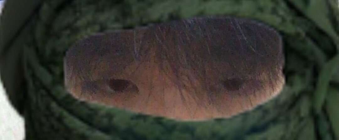mngocrilya's profile banner image