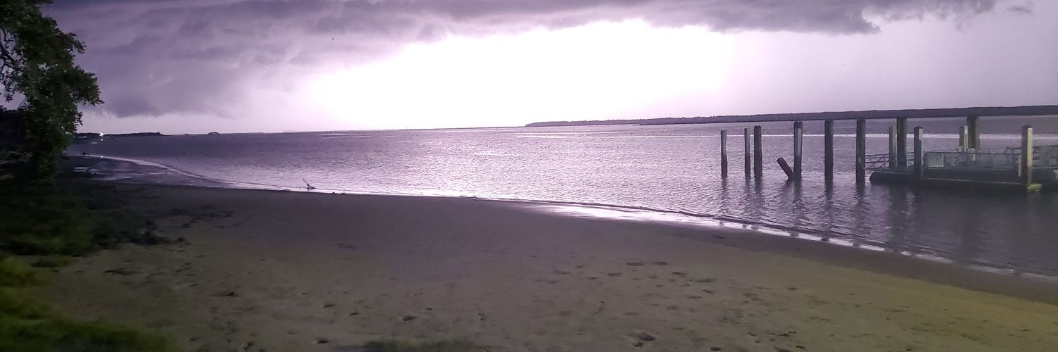 WLNS_David's profile banner image