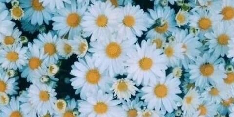 stEen_smith's profile banner image