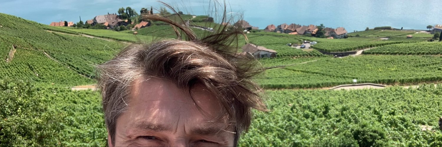 FranckVosgien's profile banner image