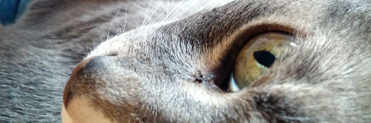 ChelseaofFargo's profile banner image