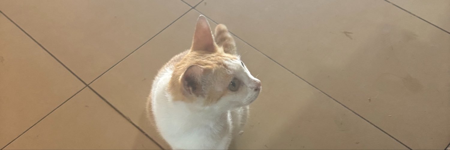yrfavgir's profile banner image