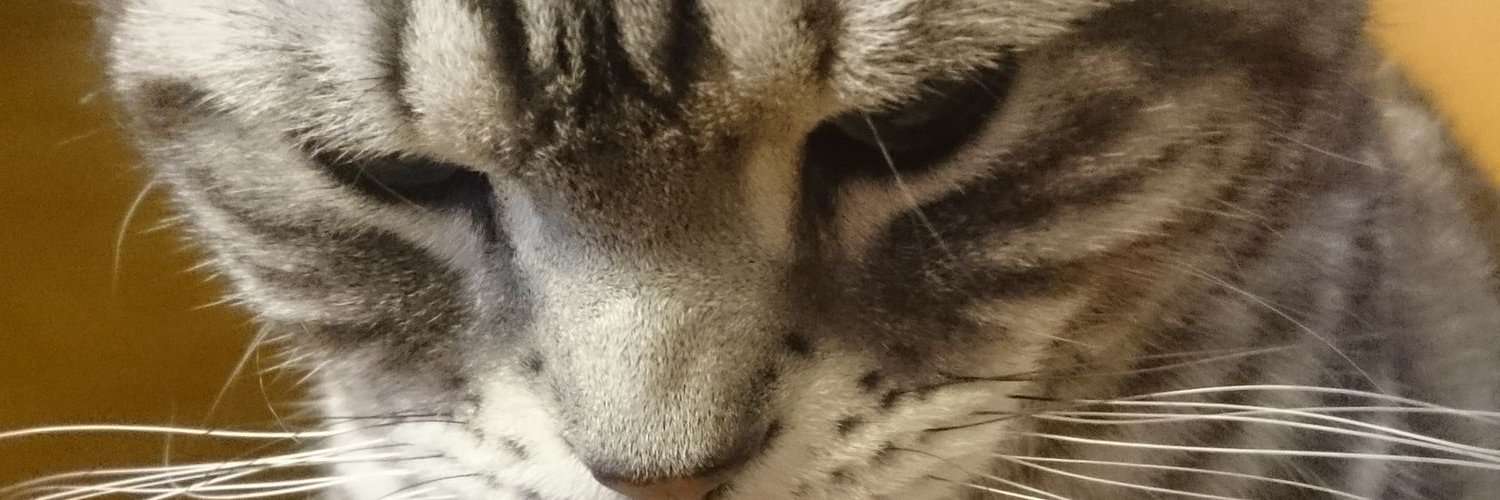 t2627's profile banner image