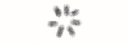kelibing_cepes's profile banner image