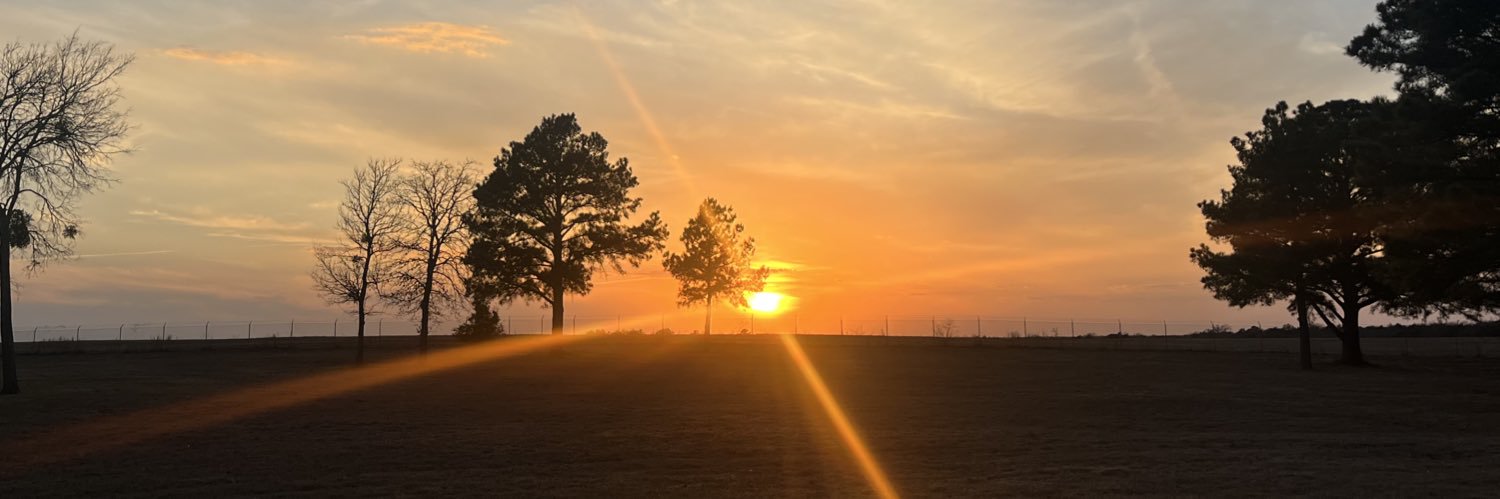 countercurrentz's profile banner image