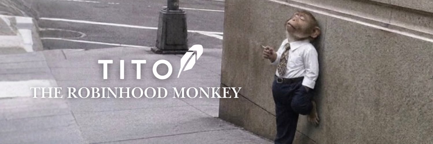 Tito the Robinhood Monkey banner